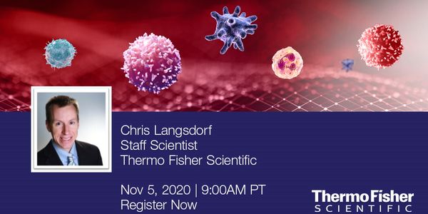 Cell-based Assays to Functionally Characterize Immunotherapy and the Immune Response to Viral Infection