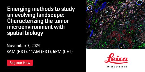 Emerging methods to study an evolving landscape: Characterizing the tumor microenvironment with spatial biology