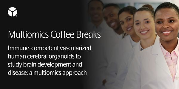 Immune-competent vascularized human cerebral organoids to study brain development and disease: a multiomics approach