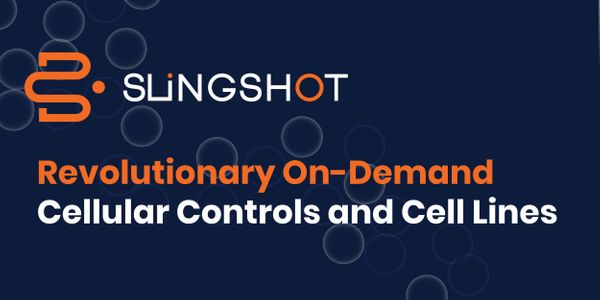The Impact of Sorting on Cell Function