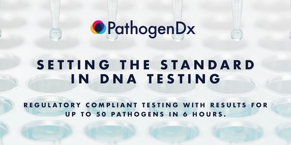 Emerging as the New Gold Standard in Quality & Safety: Parallel DNA Based Cannabis Testing of Multiple Microbes