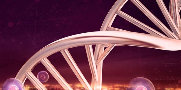 Simplified Online Tools for CRISPR-Cas9 Gene Editing Design and Confirmation