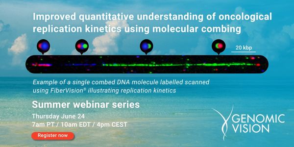 Improved quantitative understanding of oncological replication kinetics  using molecular combing