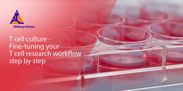 T cell culture - Fine-tuning your T cell research workflow step by step