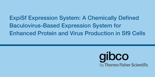 ExpiSf Expression System: A Chemically Defined Baculovirus-Based Expression System for Enhanced Protein and Virus Production in Sf9 Cells