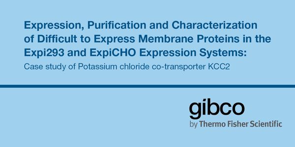 Expression, Purification and Characterization of Difficult to Express Membrane Proteins in the Expi293 and ExpiCHO Expression Systems:  Case study of Potassium chloride co-transporter KCC2