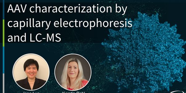 On the way towards personalized medicine: Gene therapy AAV characterization by capillary electrophoresis (CE) and liquid chromatography mass spectrometry (LC-MS)