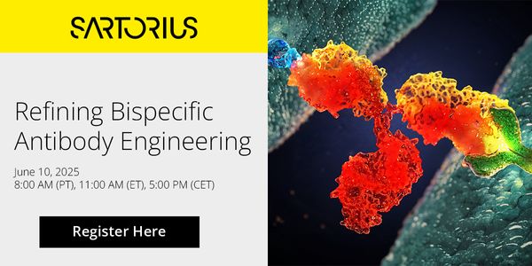 Refining Bispecific Antibody Engineering