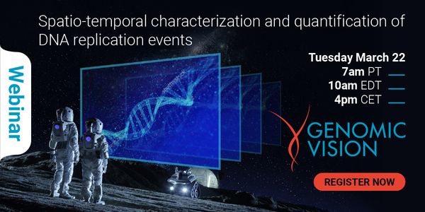 Spatio-temporal characterization and quantification of DNA replication events by molecular combing