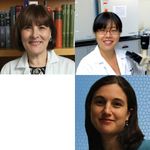 Applying a multi-omics approach to tumor biomarker discovery - case studies