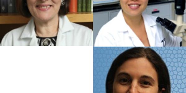 Applying a multi-omics approach to tumor biomarker discovery - case studies