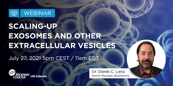 Scaling-Up Exosomes and Other Extracellular Vesicles