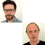 The dynamics of β-amyloid plaque genesis - an in vivo study in transgenic mice of Alzheimer's disease