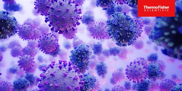 Lower Respiratory Tract Infections in outpatients: bacterial causes or do viruses also matter?