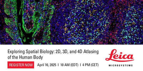 Exploring Spatial Biology: 2D, 3D, and 4D Atlasing of the Human Body