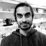 Building embryonic lineages