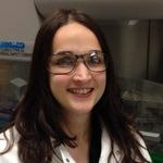 Evolving your media system for modern stem cell applications