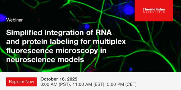 Simplified integration of RNA and protein labeling for multiplex fluorescence microscopy in neuroscience models