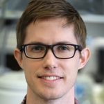 Overcoming Complexity to Elucidate the Role of Immunoglobulin Polymorphism in the Functional Antibody Response