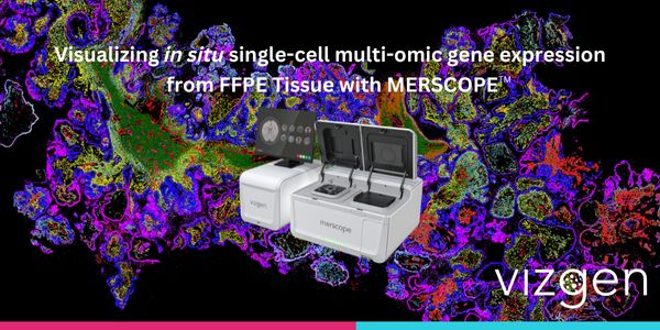 Visualizing in situ single-cell multi-omic gene expression from FFPE Tissue with MERSCOPE