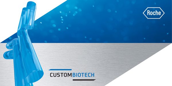 FcRn Affinity Column Chromatography for Therapeutic mAb Characterization