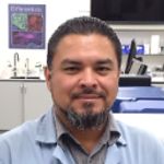 iPSC Generation and Validation: Ensuring the best materials for downstream applications  iPSC Generation and Validation: Ensuring the best materials for downstream applications