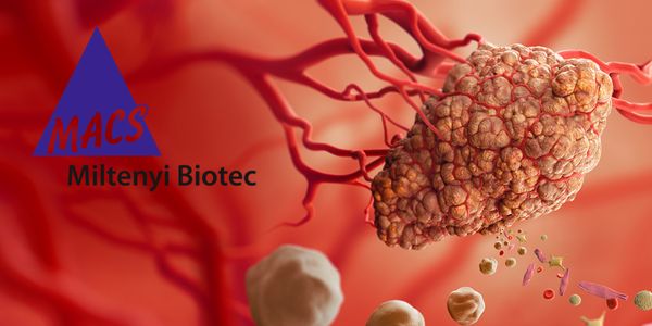 How to maximize tumor microenvironment analysis from limited patient samples