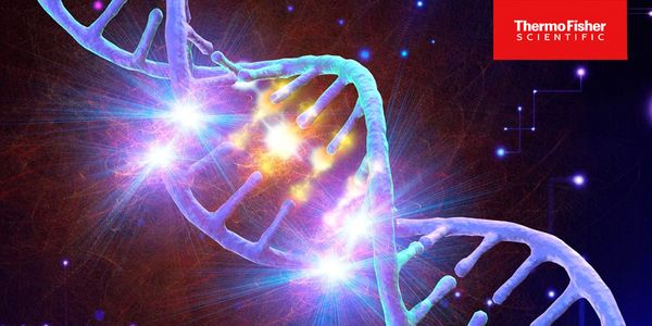 Development of a Novel Targeted NGS Panel for Analysis of DNA Methylation Biomarkers in Lung Cancer Research