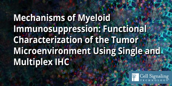Mechanisms of Myeloid Immunosuppression:  Functional Characterization of the Tumor Microenvironment Using Single and Multiplex IHC