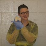 Acclimation of Training Animals for Standard Handling, Restraint and Laboratory Techniques