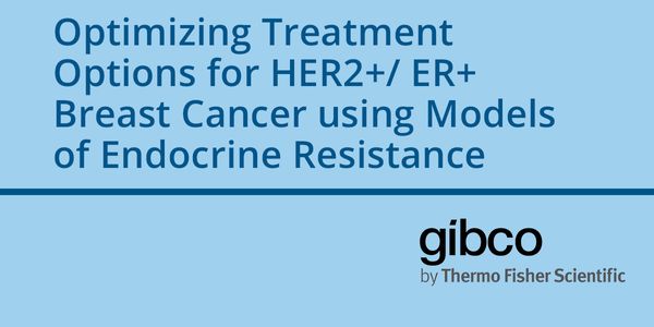 Optimizing Treatment Options for HER2+/ ER+ Breast Cancer using Models of Endocrine Resistance