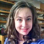 WEBINAR: Understanding cell reprogramming in treatment-resistant prostate cancer using organoids