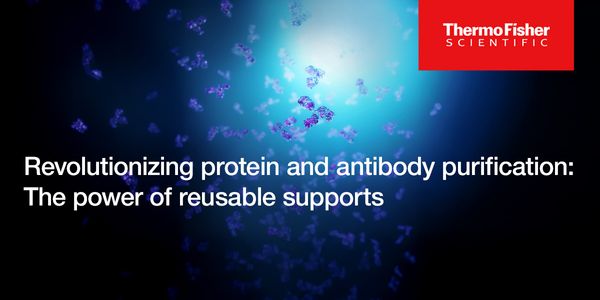 Revolutionizing protein and antibody purification: The power of reusable supports