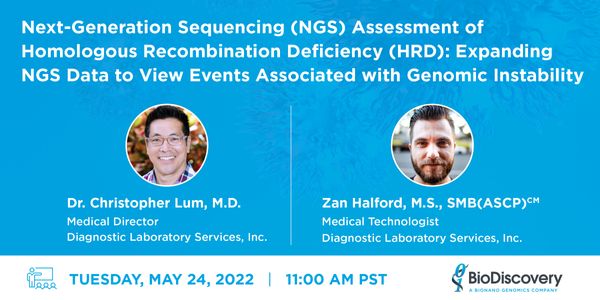 Next-Generation Sequencing (NGS) Assessment of Homologous Recombination Deficiency (HRD): Expanding NGS Data to View Events Associated with Genomic Instability