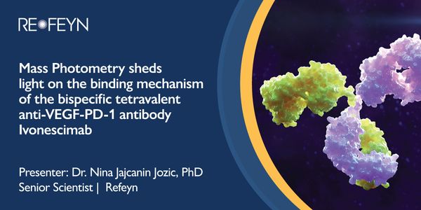 Mass Photometry sheds light on the binding mechanism of the bispecific tetravalent anti-VEGF-PD-1 antibody Ivonescimab