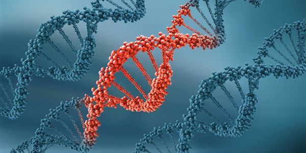 Advancing Toward Personalized Medicine in Lung Cancer: A Focus on Gene Rearrangement Testing