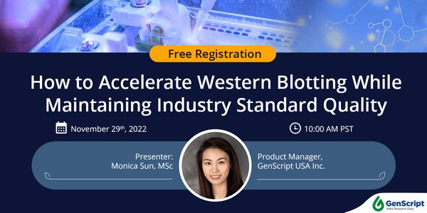 How to Accelerate Western Blotting While Maintaining Industry Standard Quality