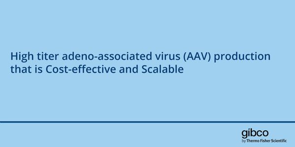 High titer adeno-associated virus (AAV) production that is Cost-effective and Scalable