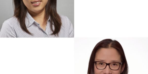 Upgrading the CRISPR Toolbox - New Strategies Sharpen the CRISPR-Cas9 Scissors Utilizing Visualization and Chromatic Accessibility