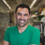 Genomic characterization of emerging carbapenem-resistant Klebsiella pneumoniae infections at a public hospital in Lima, Peru