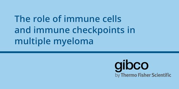 The role of immune cells and immune checkpoints in multiple myeloma