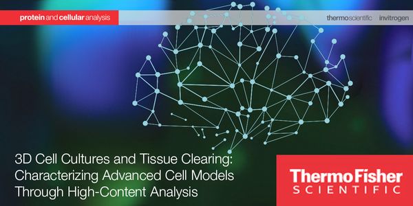 3D Cell Cultures and Tissue Clearing: A High Content Confocal Platform for the Complete 3D Characterization of Advanced Cell Models