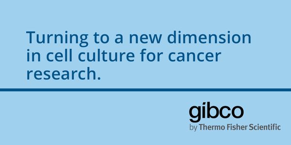 Turning to a new dimension in cell culture for cancer research