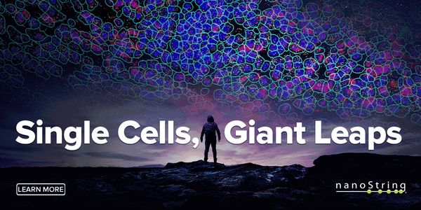 Spatial Single Cell Characterization of Alzheimer's Disease in Mouse and Human Hippocampus