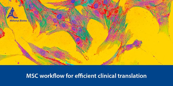 Mesenchymal stromal or stem cell (MSC) workflow for efficient clinical translation: from automated GMP-compliant cell manufacturing to standardized phenotyping