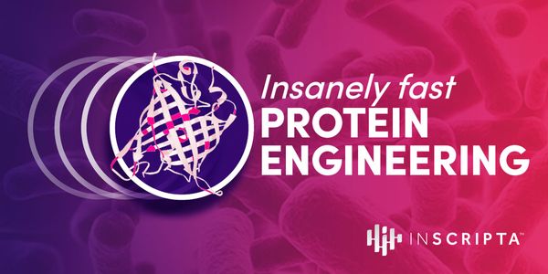 Heterologous Protein Engineering and characterization of native regulatory elements  in E. coli using Massively Parallel CRISPR Editing