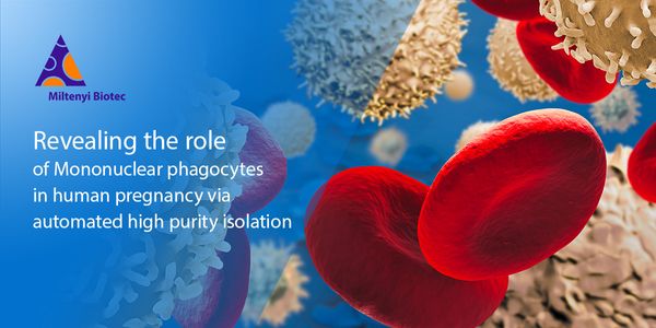 Revealing the role of Mononuclear phagocytes in human pregnancy via automated high purity isolation