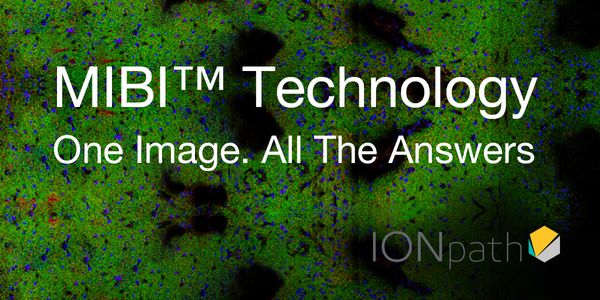 Comprehensive Capture of Human Neuropathology by Multiplexed Ion Beam Imaging (MIBI)