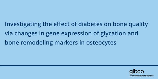 Investigating the effect of diabetes on bone quality via changes in gene expression of glycation and bone remodeling markers in osteocytes