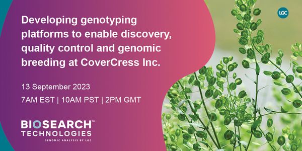Developing genotyping platforms to enable discovery, quality control and genomic breeding at CoverCress Inc.